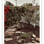 Image of Mary's garden path from pres message.